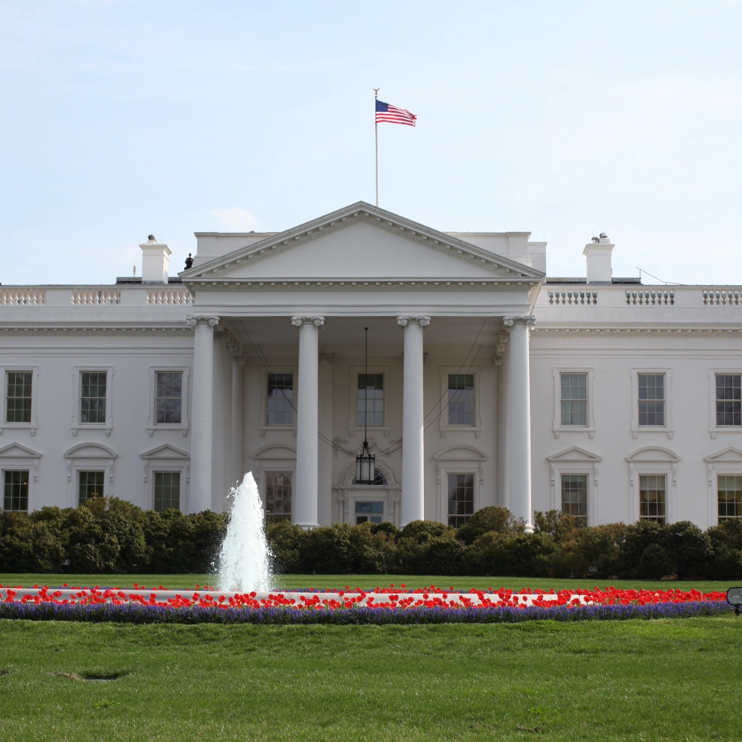 High School Government